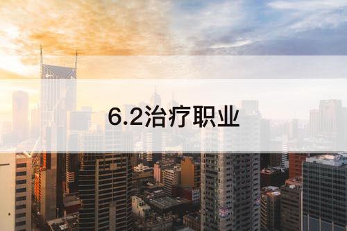 6.2治疗职业