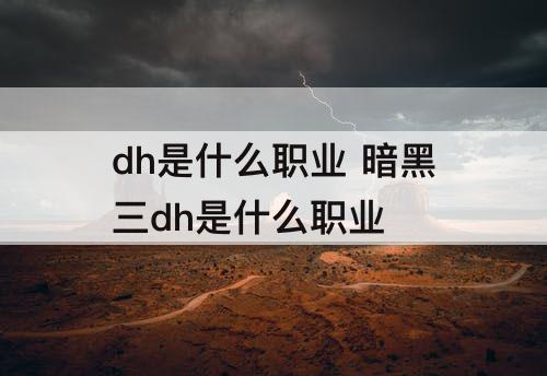 dh是什么职业 暗黑三dh是什么职业