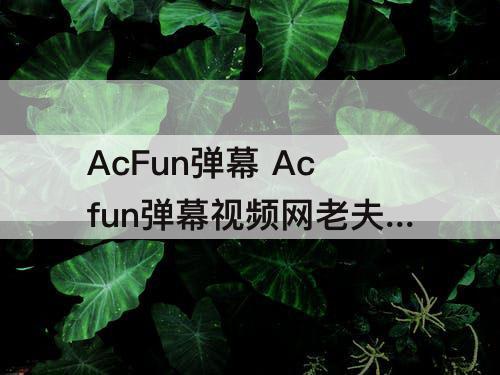 AcFun弹幕 Acfun弹幕视频网老夫子漫画李小龙