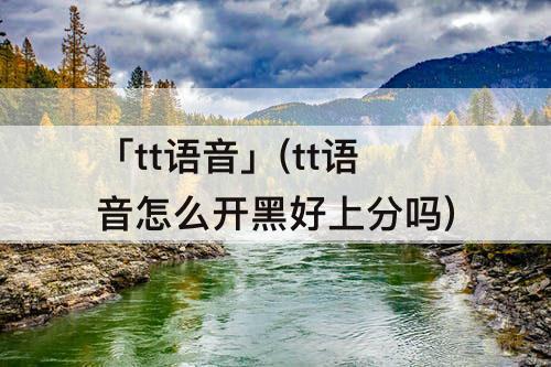「tt语音」(tt语音怎么开黑好上分吗)