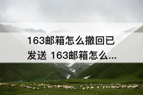 163邮箱怎么撤回已发送 163邮箱怎么撤回已发送的文件