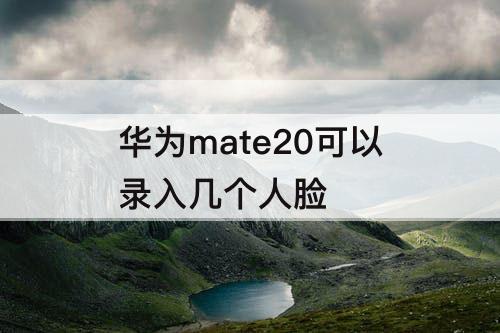 华为mate20可以录入几个人脸