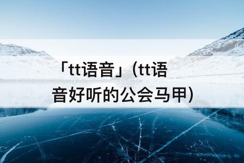 「tt语音」(tt语音好听的公会马甲)