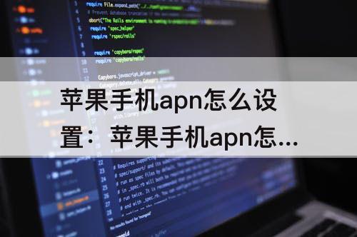 苹果手机apn怎么设置：苹果手机apn怎么设置ios11