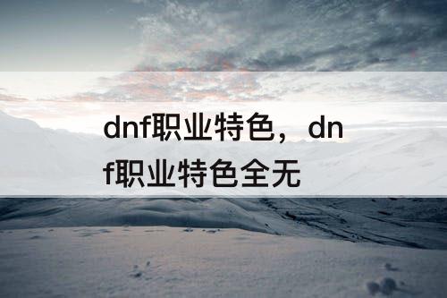 dnf职业特色，dnf职业特色全无
