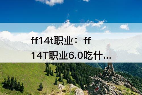 ff14t职业：ff14T职业6.0吃什么食物