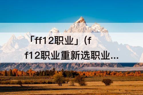 「ff12职业」(ff12职业重新选职业位置)