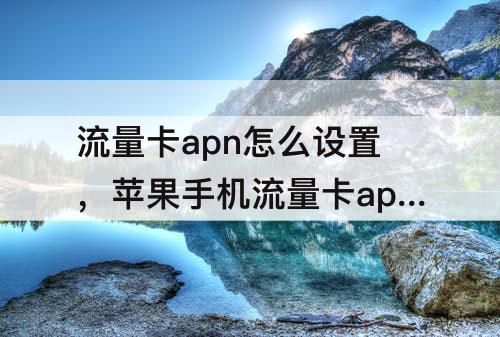 流量卡apn怎么设置，苹果手机流量卡apn怎么设置联通