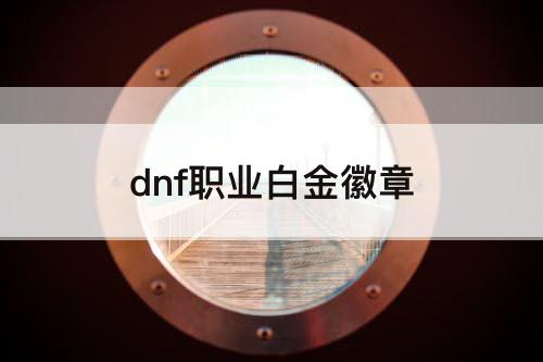dnf职业白金徽章