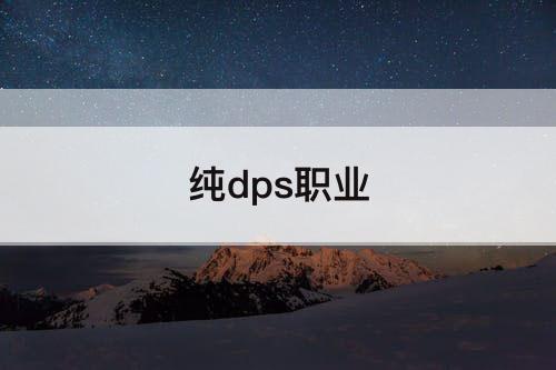 纯dps职业