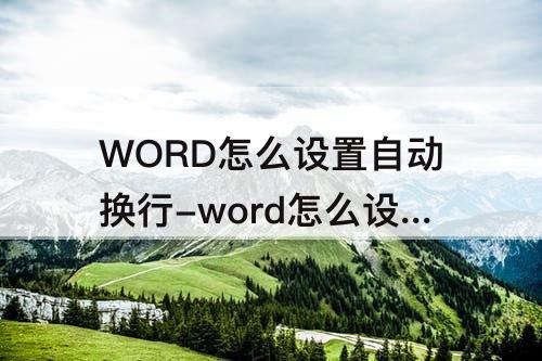 WORD怎么设置自动换行-word怎么设置自动换行方式