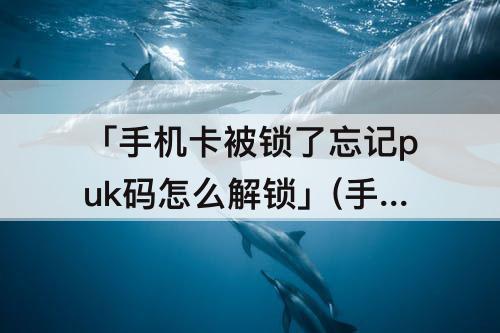 「手机卡被锁了忘记puk码怎么解锁」(手机卡被锁了忘记puk码怎么解锁视屏)