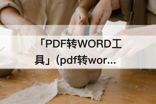 「PDF转WORD工具」(pdf转word工具arbb)