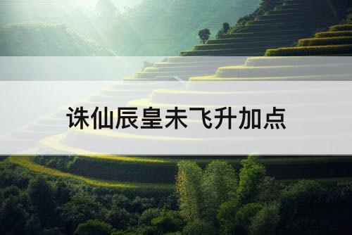 诛仙辰皇未飞升加点