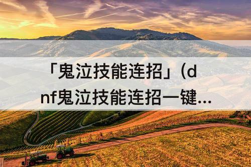 「鬼泣技能连招」(dnf鬼泣技能连招一键设置)