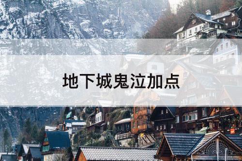 地下城鬼泣加点