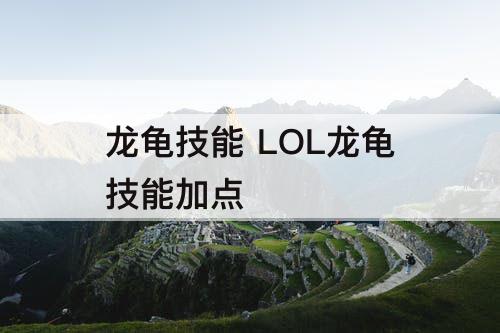 龙龟技能 LOL龙龟技能加点