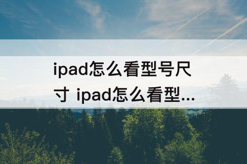 ipad怎么看型号尺寸 ipad怎么看型号尺寸壳
