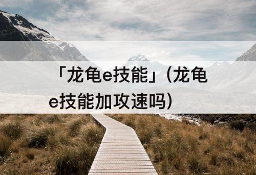 「龙龟e技能」(龙龟e技能加攻速吗)