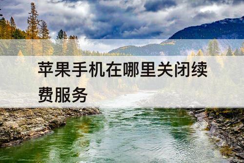 苹果手机在哪里关闭续费服务