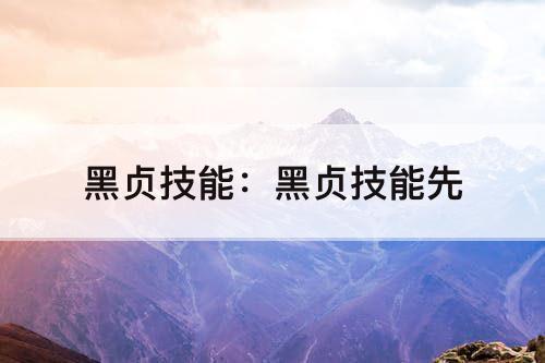 黑贞技能：黑贞技能先