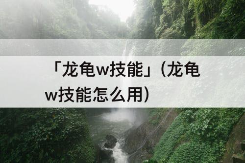 「龙龟w技能」(龙龟w技能怎么用)