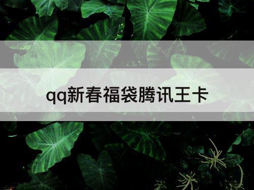 qq新春福袋腾讯王卡