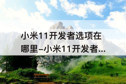 小米11开发者选项在哪里-小米11开发者选项在哪里打开