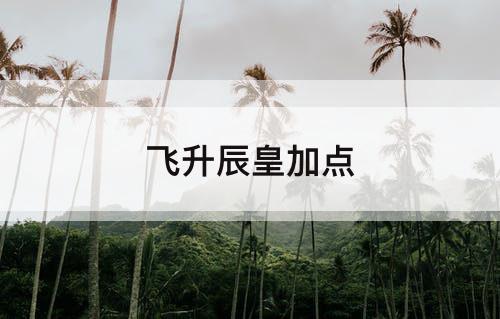 飞升辰皇加点