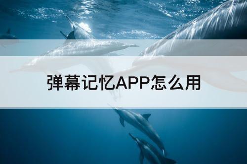 弹幕记忆APP怎么用