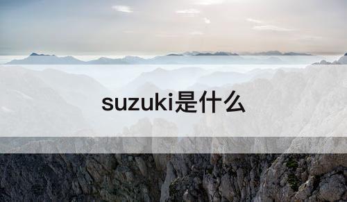 suzuki是什么