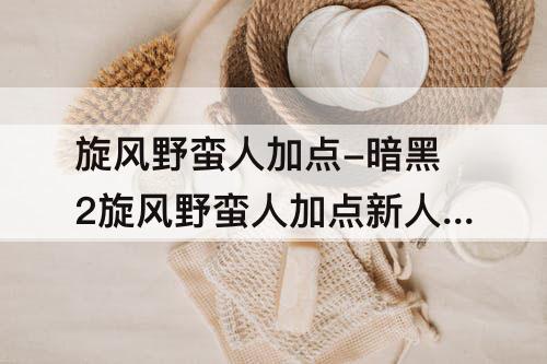 旋风野蛮人加点-暗黑2旋风野蛮人加点新人指导