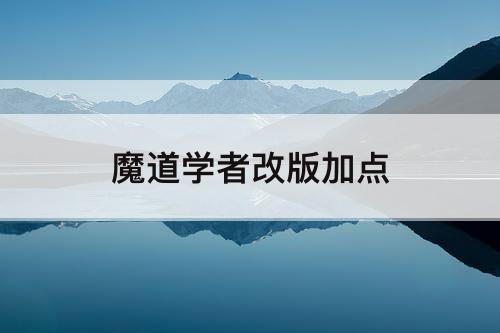 魔道学者改版加点