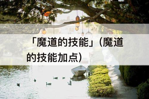 「魔道的技能」(魔道的技能加点)