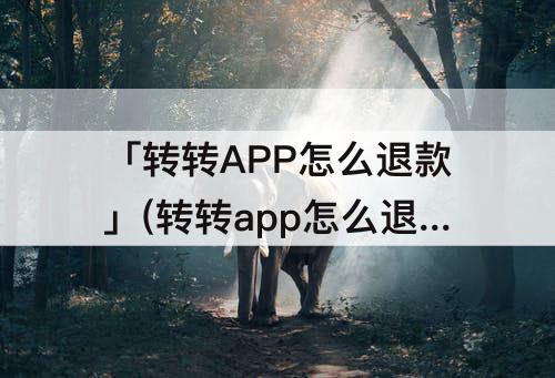 「转转APP怎么退款」(转转app怎么退款能快一点)