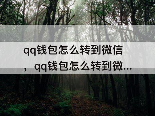 qq钱包怎么转到微信，qq钱包怎么转到微信钱包要手续费吗