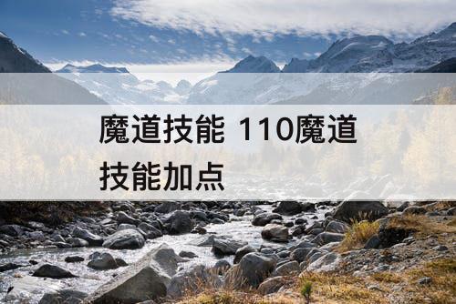 魔道技能 110魔道技能加点