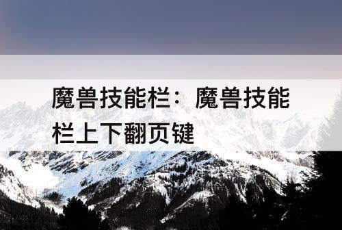 魔兽技能栏：魔兽技能栏上下翻页键