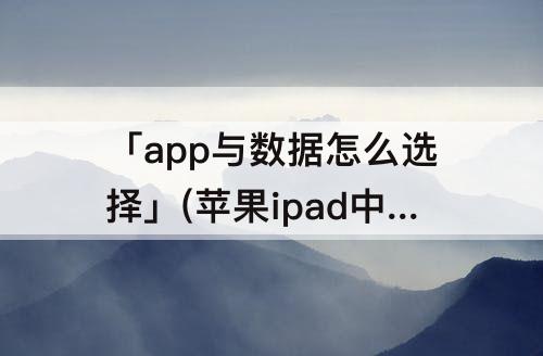 「app与数据怎么选择」(苹果ipad中app与数据怎么选择)