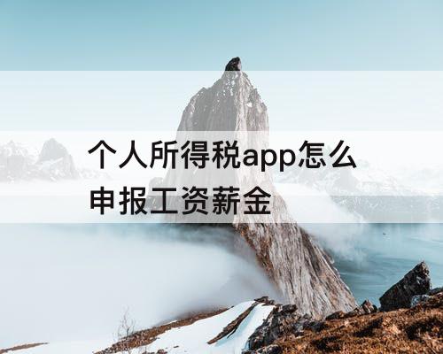 个人所得税app怎么申报工资薪金