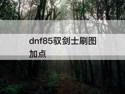 dnf85驭剑士刷图加点