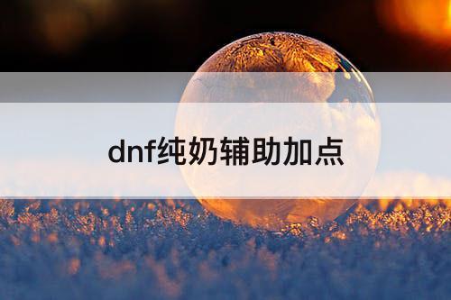 dnf纯奶辅助加点
