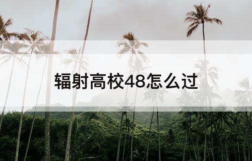 辐射高校48怎么过