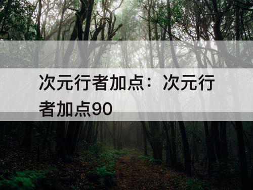 次元行者加点：次元行者加点90