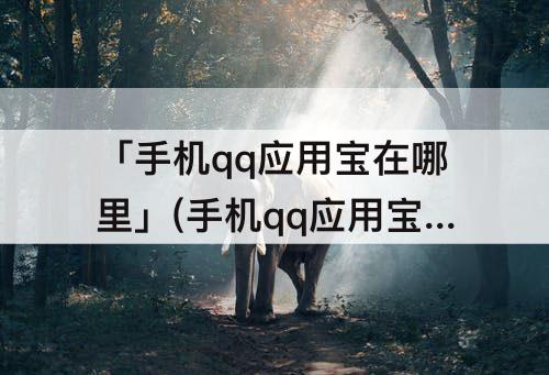 「手机qq应用宝在哪里」(手机qq应用宝在哪里打开)