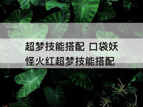 超梦技能搭配 口袋妖怪火红超梦技能搭配
