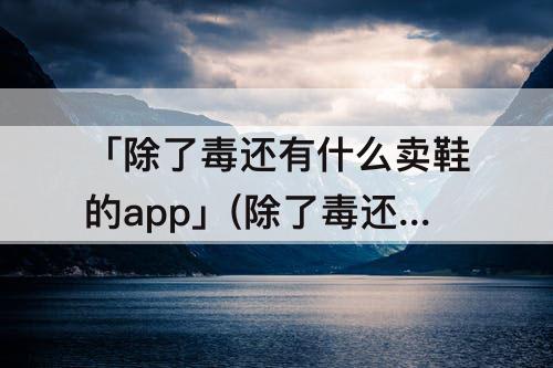 「除了毒还有什么卖鞋的app」(除了毒还有什么卖鞋的app保真)