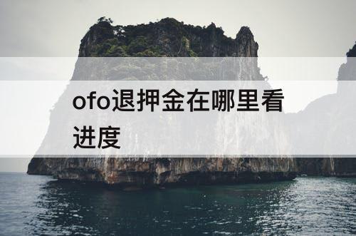 ofo退押金在哪里看进度