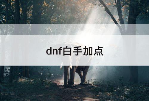 dnf白手加点
