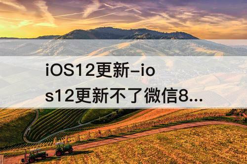 iOS12更新-ios12更新不了微信8.0